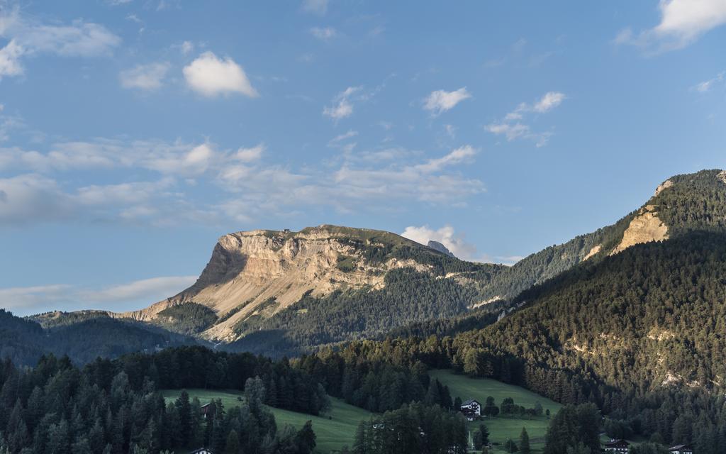 Rainell Dolomites Retreat Ξενοδοχείο Ορτιζέι Εξωτερικό φωτογραφία